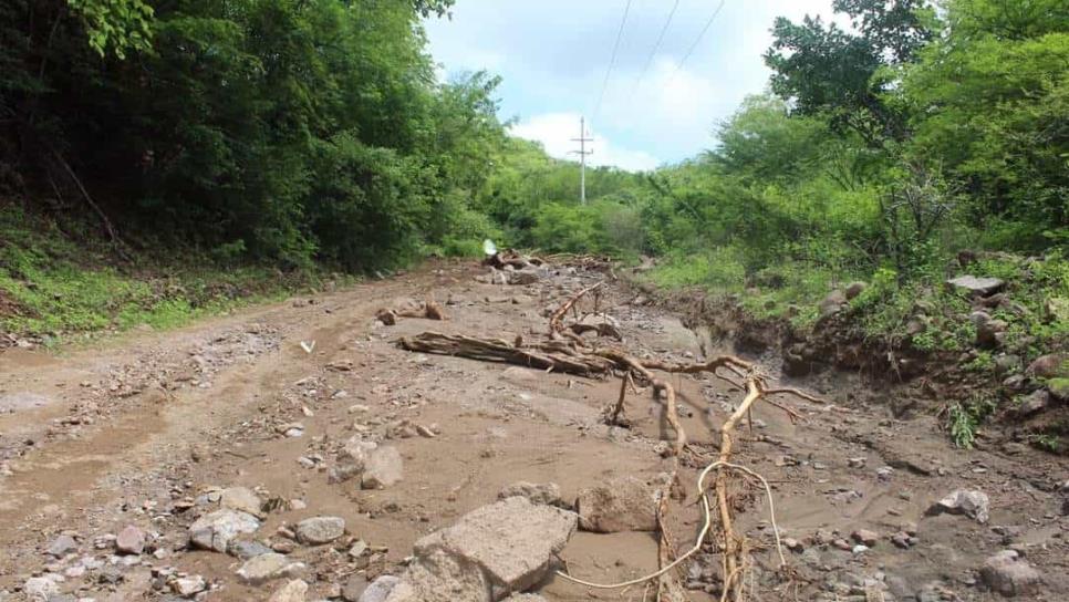 Reparan accesos y caminos en Sinaloa de Leyva tras lluvias