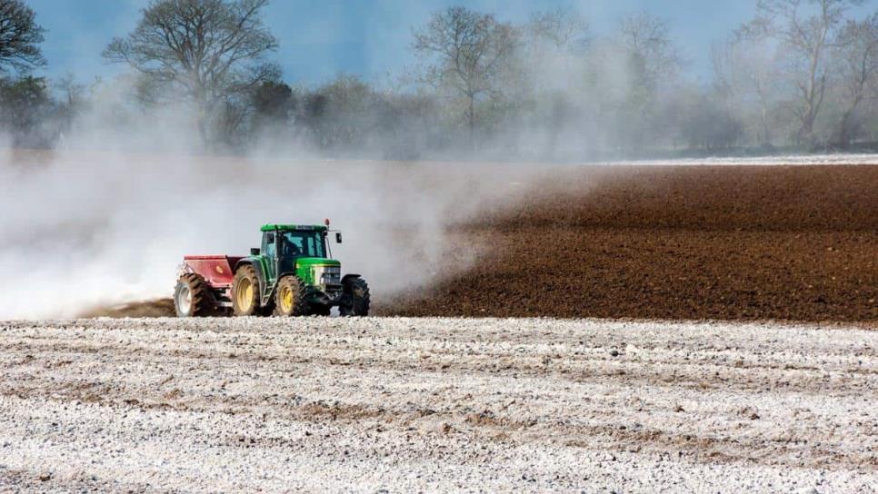 México incrementará producción de alimentos con fertilizantes