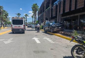 Hombre derriba palmera y casi termina en las mesas de una plaza