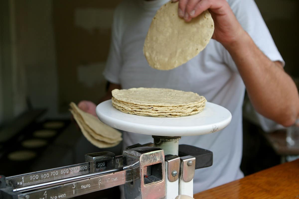 Productores de Sinaloa a favor de que se baje precio de la tortilla