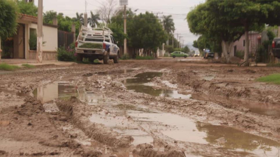 Caminos y calles de El Carrizo en mal estado; iniciarán reparaciónones