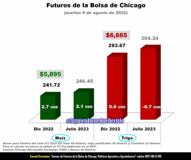 Imagen Placeholder Imagen Placeholder