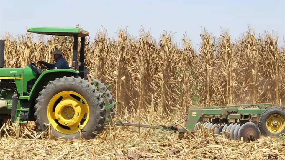 Bajan condiciones de maíz y suben cotizaciones