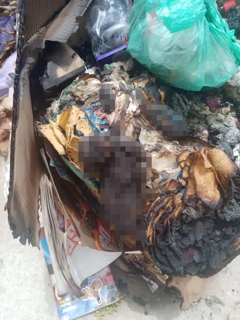 Denuncian a veterinaria por arrojar a perro calcinado a la basura común