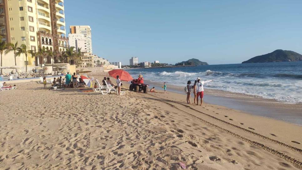 ¡De terror! Captan cocodrilo en plena playa de Mazatlán mientras devora un pelícano