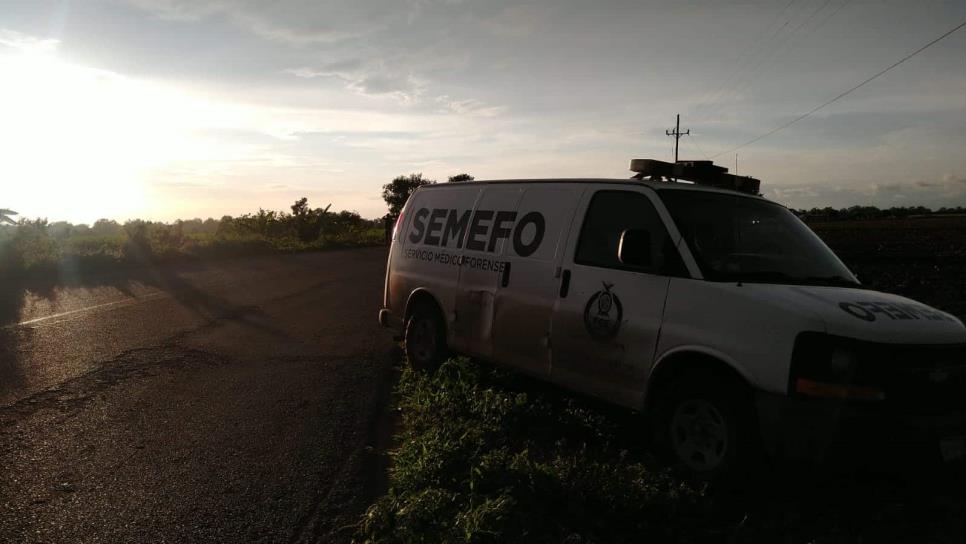 Cabalgata termina en tragedia: muere hombre en Eldorado tras caerle caballo encima