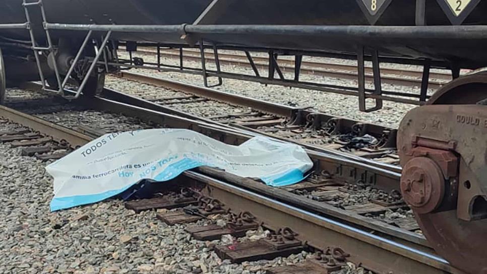 Tren atropella y mata a un trabajador en Estación Sufragio