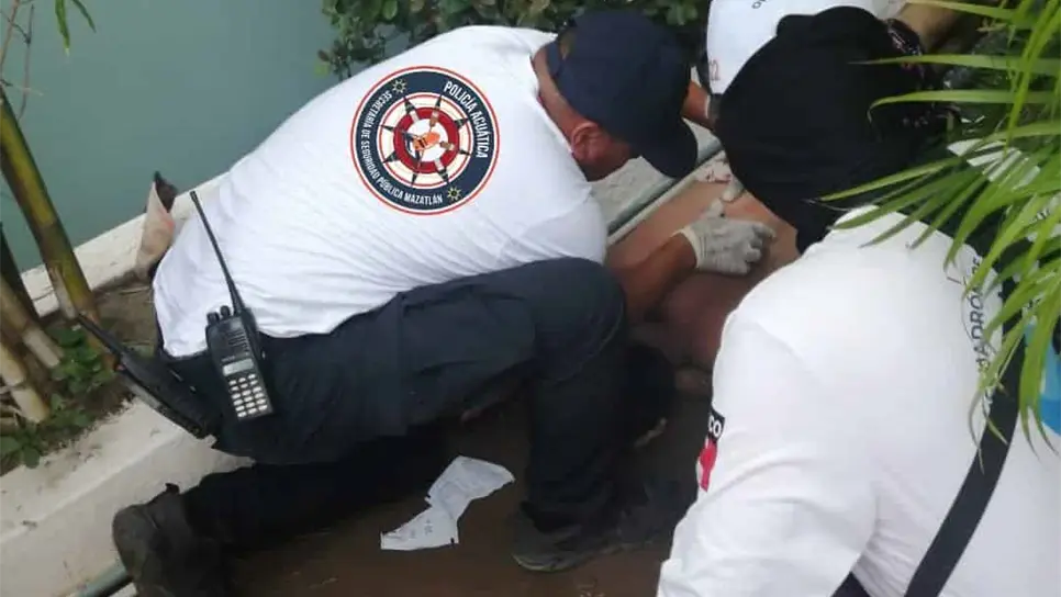 Cae turista de segundo piso de hotel en Mazatlán