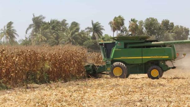 Ucrania, en medio de la guerra, producirá más maíz que México