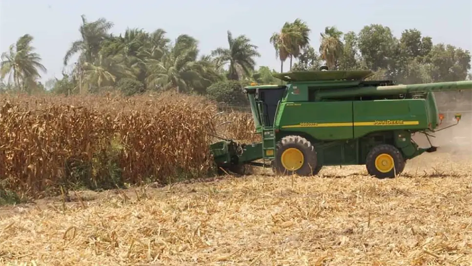 FOTO: Luz Noticias | Archivo.