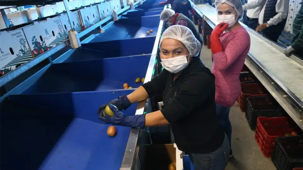 FOTO: Luz Noticias | Archivo.