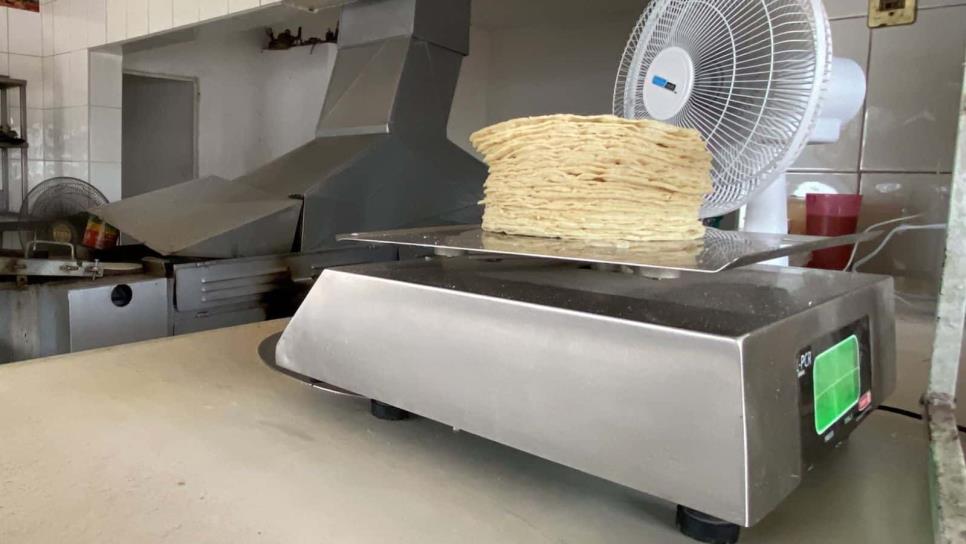 No hay razones para que aumente precio de la tortilla en Sinaloa: Rocha Moya