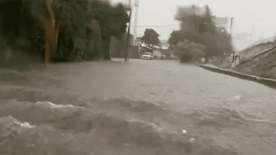 FOTO: Captura de video.