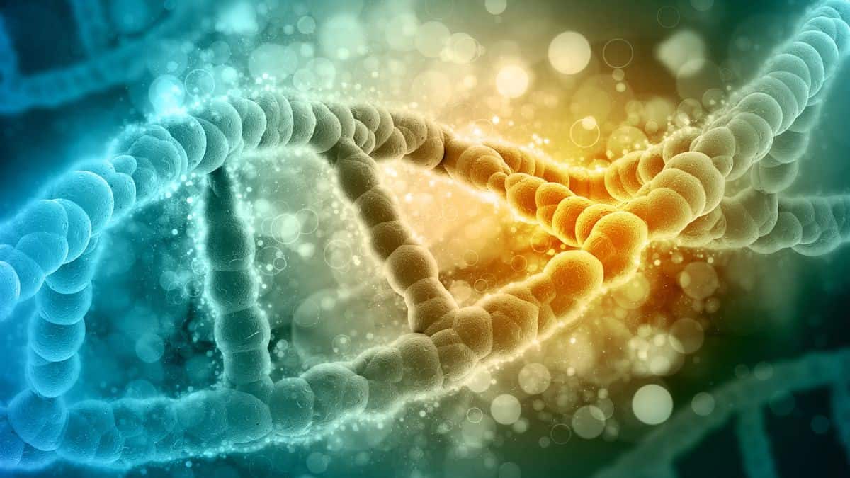 FOTO: prensaiberica.es