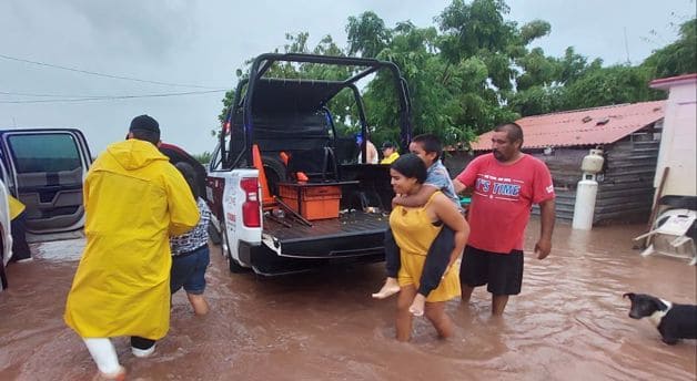 Imagen Placeholder Imagen Placeholder