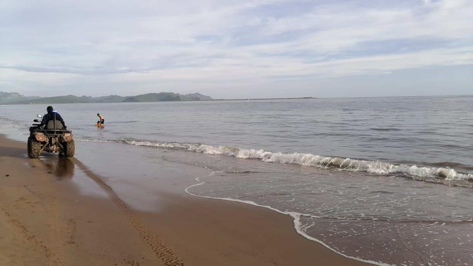 Reportan avistamiento de dos cocodrilos en la playa El Maviri