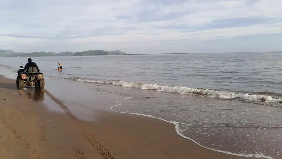 FOTO: Temática | Luz Noticias.