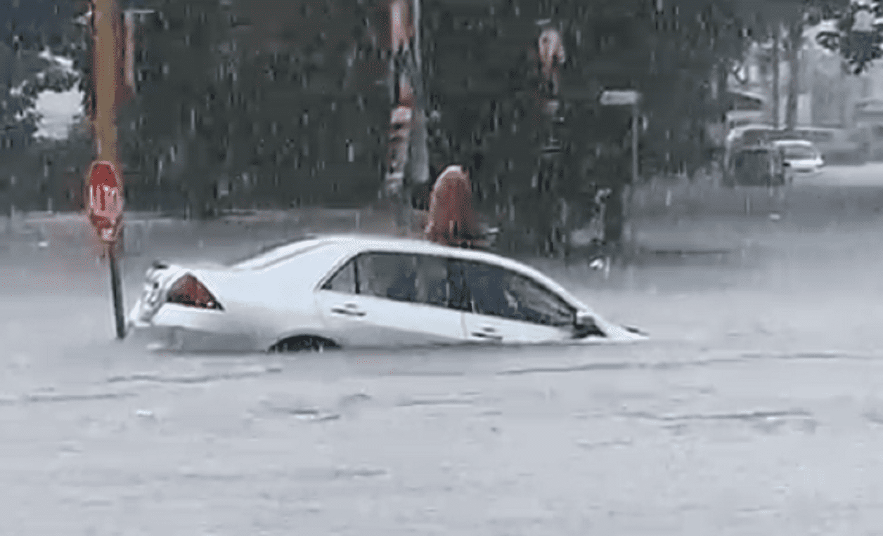 FOTO: Captura de video.