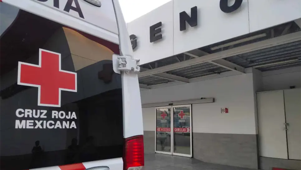 FOTO: Luz Noticias | Temática.