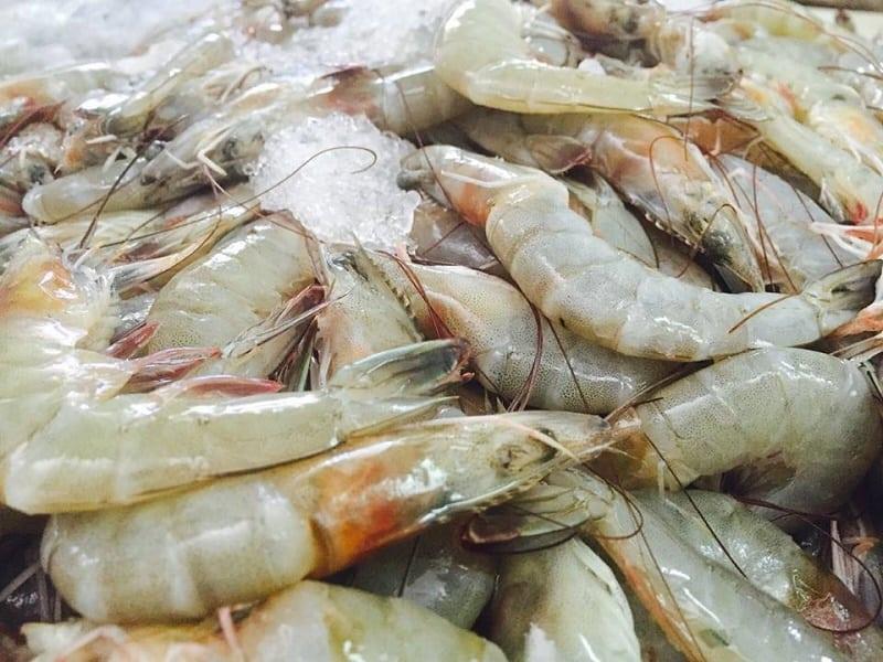 Hay fecha para levantar la veda de camarón en Sinaloa