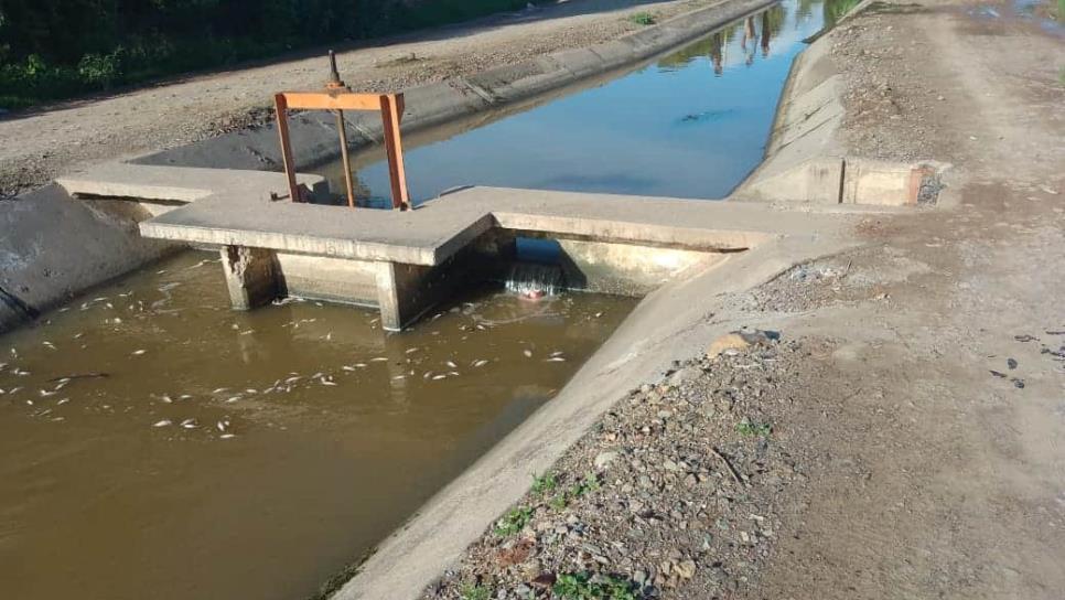 Se derrama fertilizante en canal de agua cruda de JAPAF