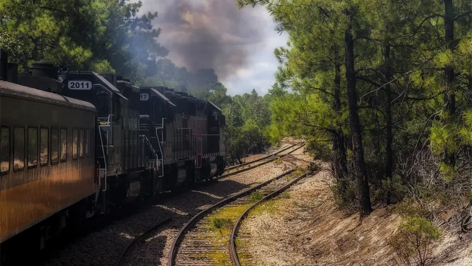 Chepe Express, fuera de servicio por riesgo de derrumbes y deslaves