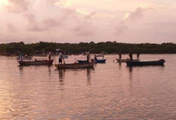 A unas horas de que se levante la veda del camarón, Pesca mantiene buena expectativa