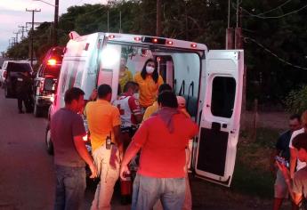 Picaduras de abejas dejan tres personas lesionadas en el Campo El Diez