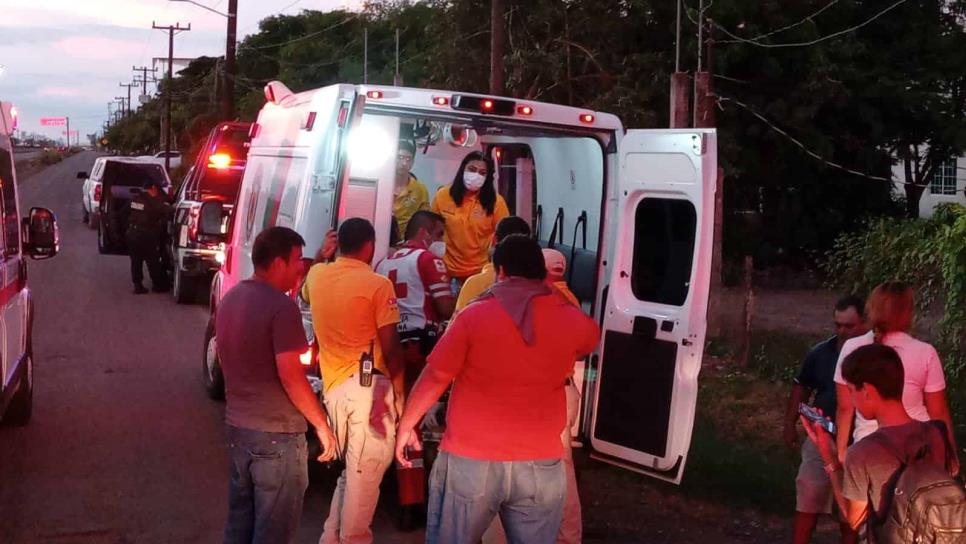 Picaduras de abejas dejan tres personas lesionadas en el Campo El Diez