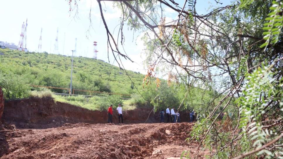 Ambientalistas denuncian ecocidio en el Cerro de la Memoria