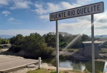 Reportan avistamiento de 2 cocodrilos en el puente de El Quelite