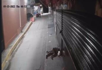 Eran locales los hombres asesinados en Playa Gaviotas: Policía Municipal