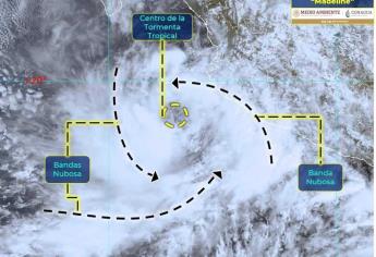 Se forma en el Pacífico la tormenta tropical Madeline