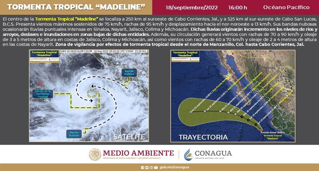 Imagen Placeholder