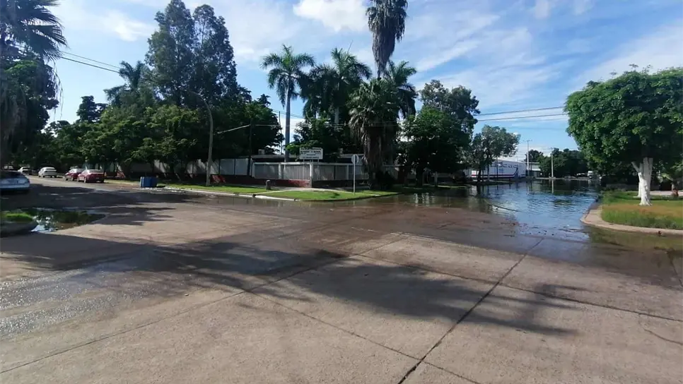 Entre «alberca» de aguas negras se encuentra una primaria en Los Mochis