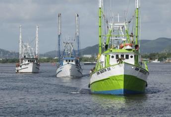 Arrancan barcos camaroneros capturas en el Pacífico y golfo de California