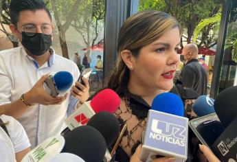 Deberá «desprenderse» Almendra Negrete del cargo como diputada para llegar al Comité Nacional Morena: Dirigente