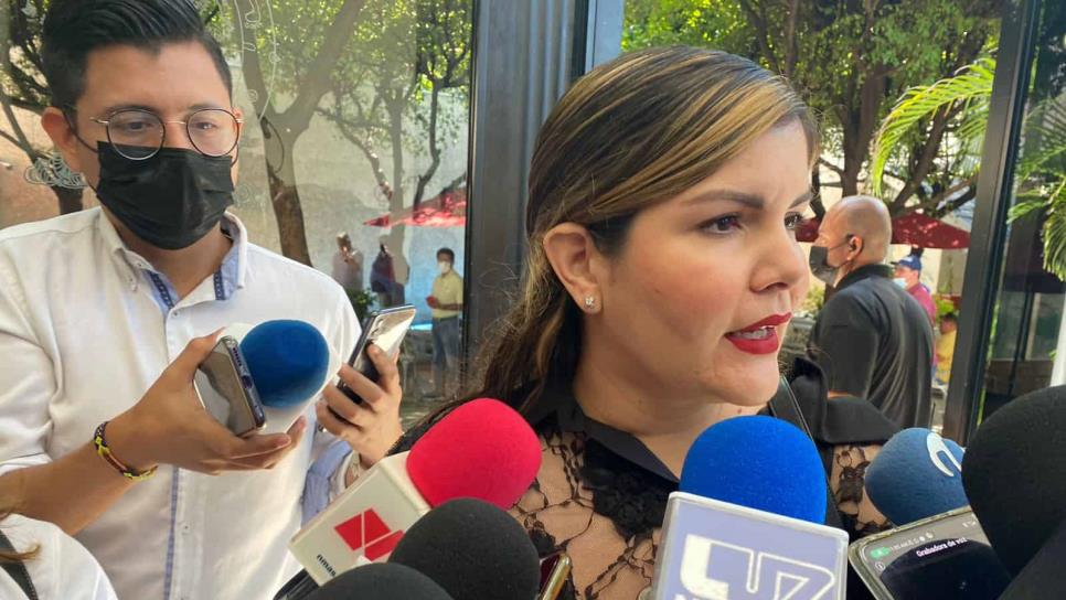 Deberá «desprenderse» Almendra Negrete del cargo como diputada para llegar al Comité Nacional Morena: Dirigente