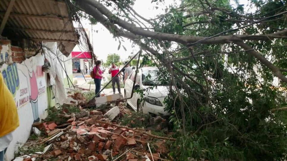 ¡Que alguien haga algo! Sinaloa, impactado por cambio climático