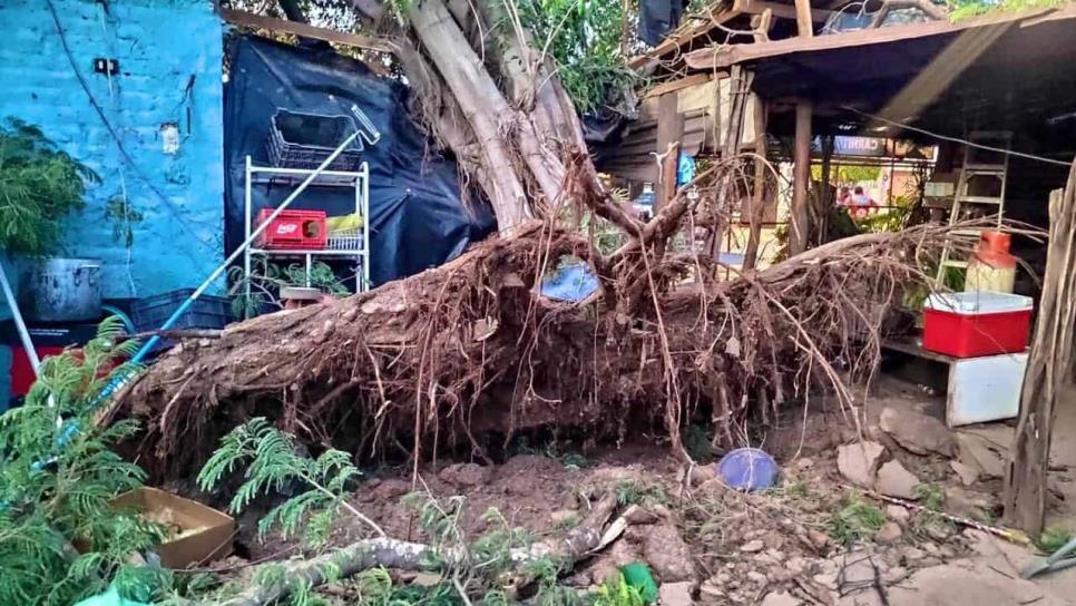 VIDEO: Tornado en Guamúchil deja afectaciones en la ciudad