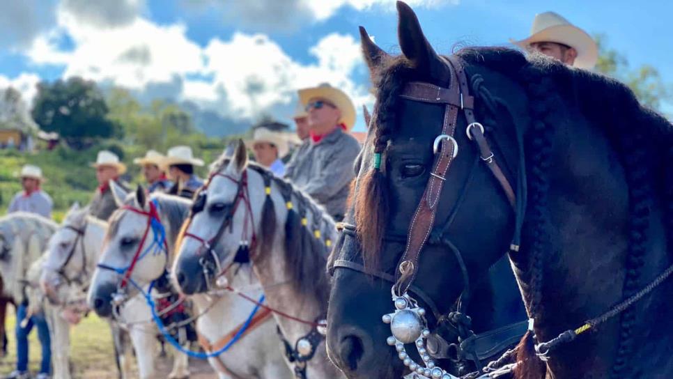 Más de mil caballos de todo México participan en la Cabalgata Surutato 2022