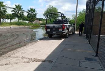 Sujetos roban el departamento de joyería de conocida tienda en Culiacán