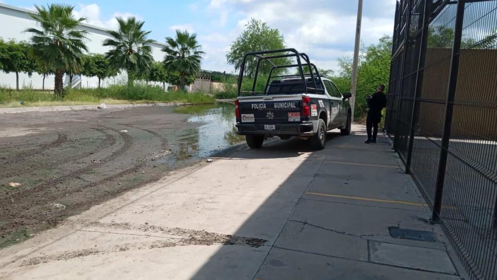 Sujetos roban el departamento de joyería de conocida tienda en Culiacán