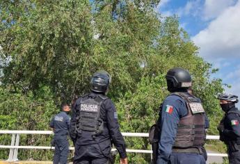 Hombre sube a un árbol de más de 10 metros y rescatistas acuden en auxilio