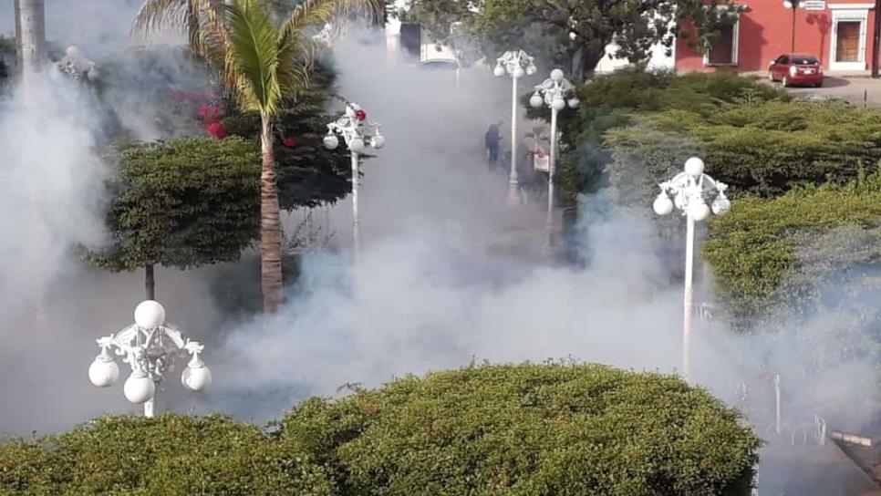 Por incremento en casos de dengue, El Fuerte intensifica fumigaciones