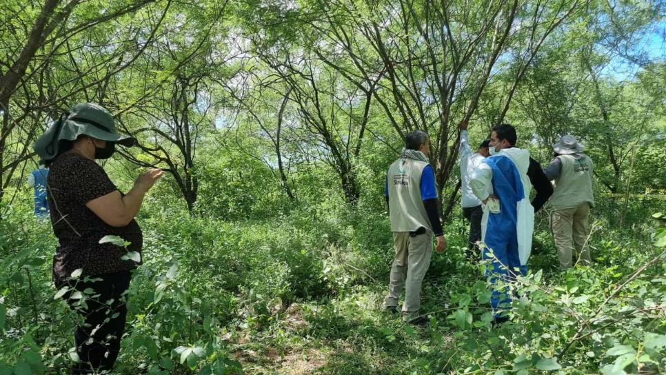 Hallan restos humanos en camino a La Primavera, en Culiacán