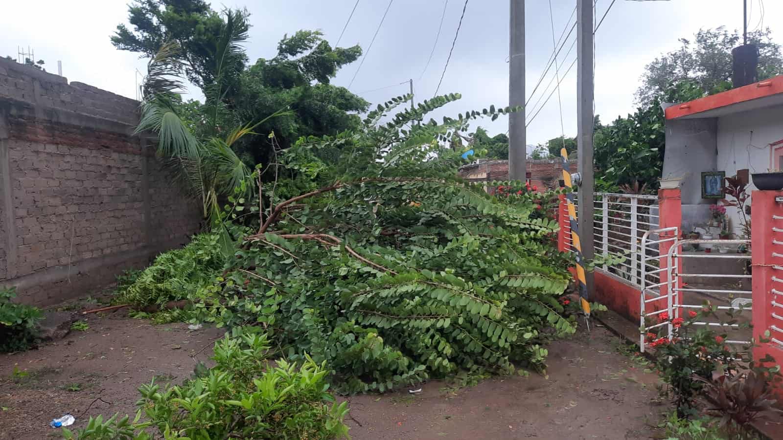 FOTO: Tahiry Zambrano.