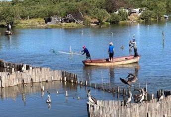 Programas de pesca serán entregados después de las elecciones: Guerra Mena