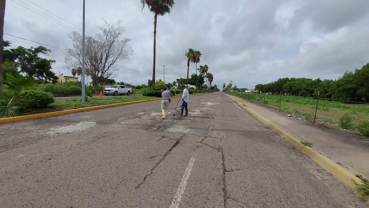 Avanza en un 70 % el bacheo de Los Mochis