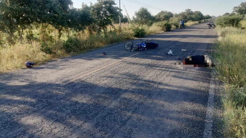 Muere motociclista en Choix tras chocar contra un caballo